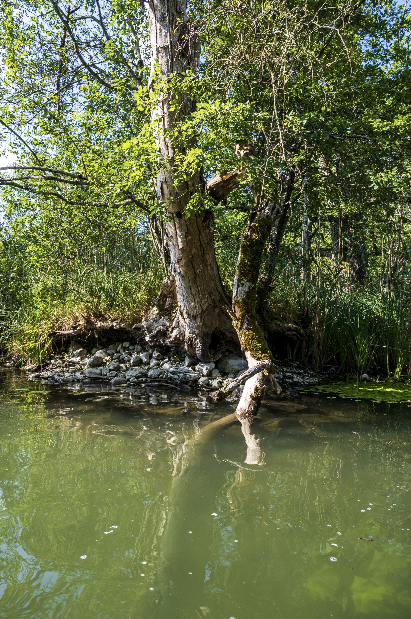 Kajaktour Leutstettner Moos 21.08.2022